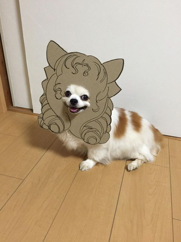 dog-costume-cardboard-cutouts-myouonnin-14-580f5407a0c93__605