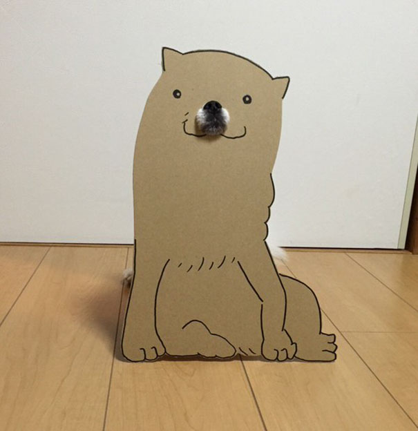 dog-costume-cardboard-cutouts-myouonnin-20-580f541415e4d__605